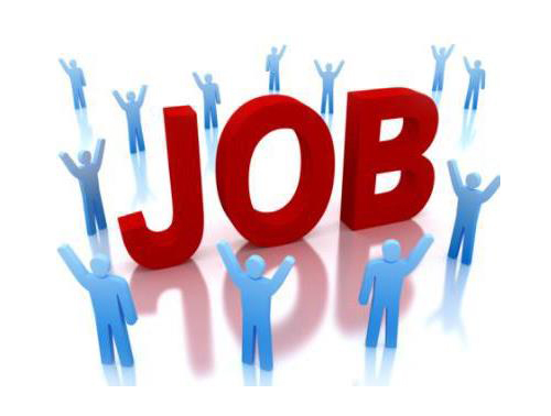 Tuyển dụng nhân sự tháng 8/2015